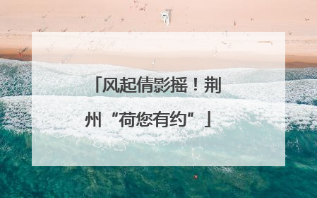 风起倩影摇！荆州“荷您有约”